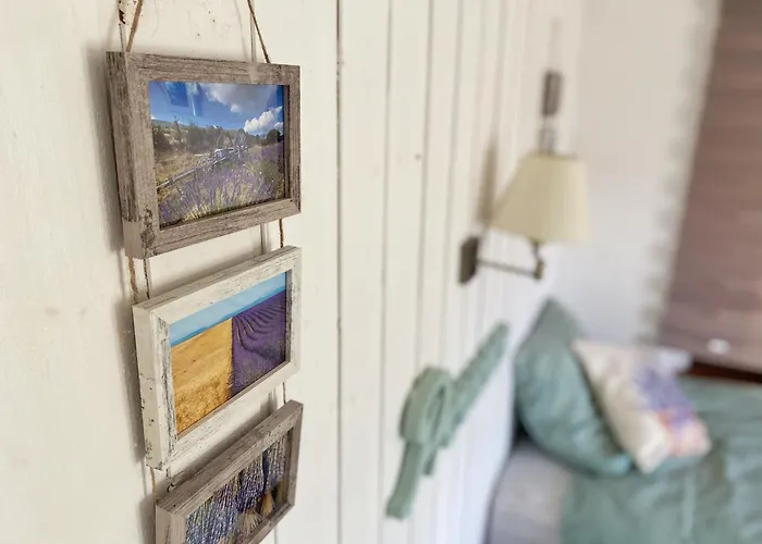 Bed & Breakfast Lpsv Experience In Sur Verdon *